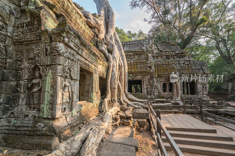柬埔寨吴哥窟的Ta Prohm古庙，在那里，丛林树木的根与这些古老建筑的砖石交织在一起，产生了超现实的世界。